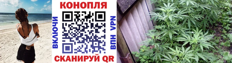 сколько стоит  Нюрба  Марихуана MAZAR 